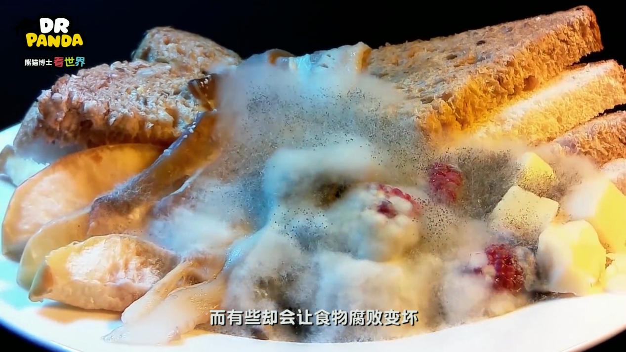 图片19.png