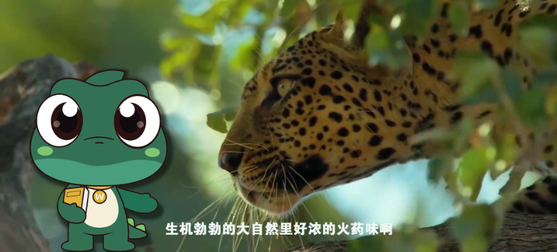 1628219962.png 图片6.png