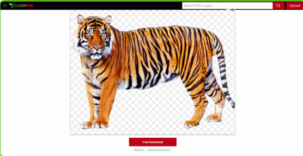 6.png