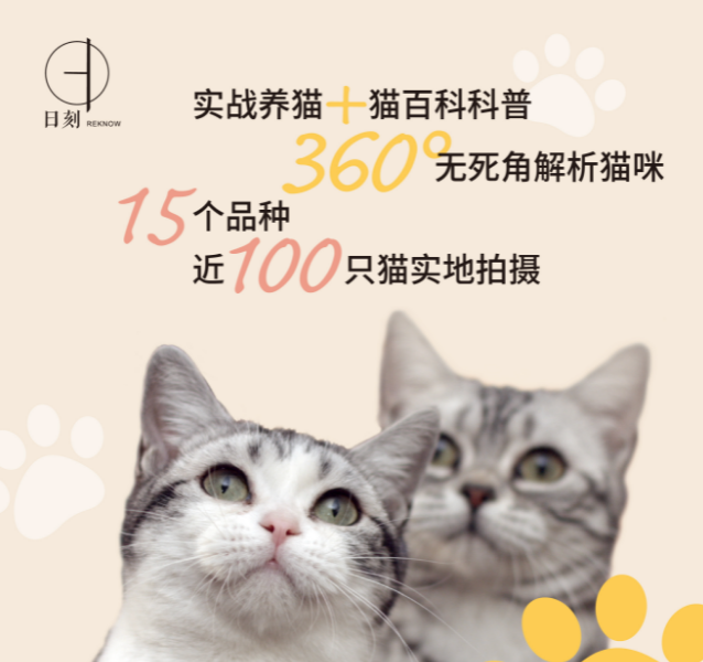 猫1.png